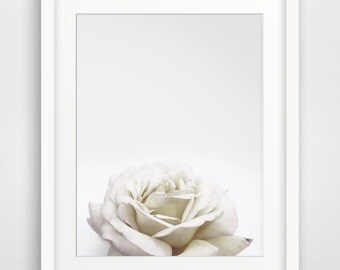 Spring Photography, White Decor, Flowers Photo, Flower Photography, Shabby Chic Wall Decor, Spring Flowers, Spring Decor, Floral Decor