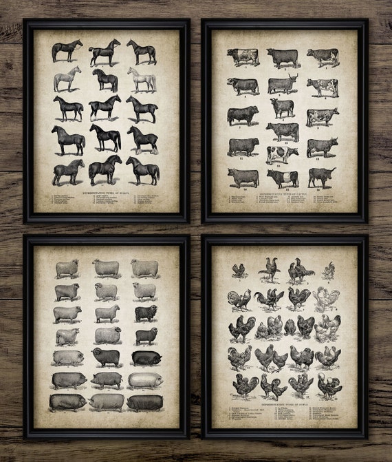 Vintage Farm Animals Print Set Of 4 Farming Illustration