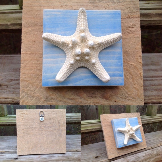 Starfish wall decor. by woodyoucouldyou22 on Etsy