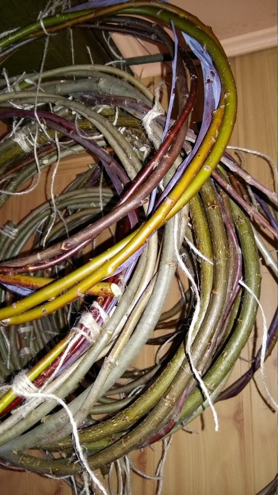 willow hoop dreamcatcher circle natural twig dream by goodieshill