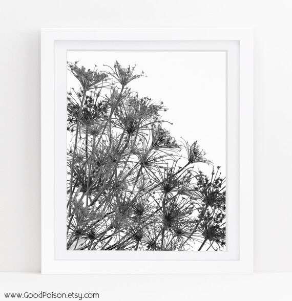 Botanical wall art Foliage Black and white pictures
