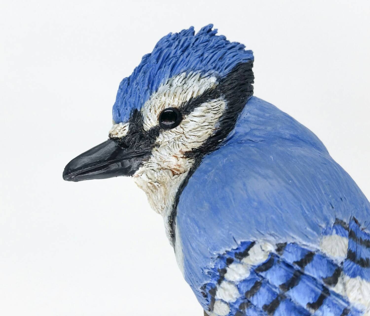 Blue jay polymer clay blue jay sculpture blue jay bust