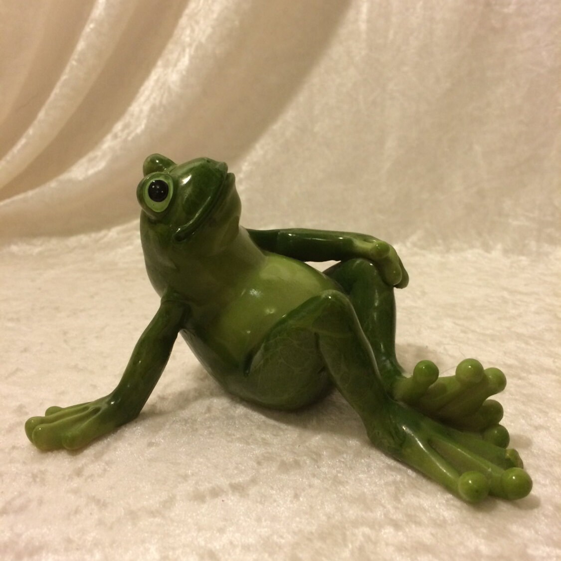 Lazy frog enjoying the day