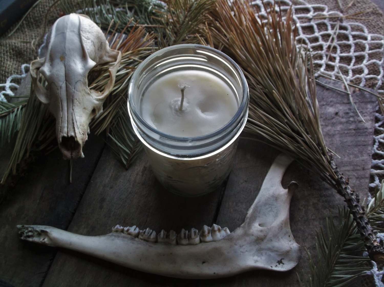 Beef Tallow Candle Animal Fat Candle Tallow by ofFleshandFeather