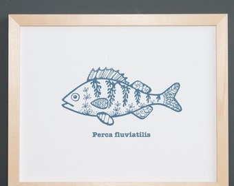 Perch - serigraphy screenprint linocut fish