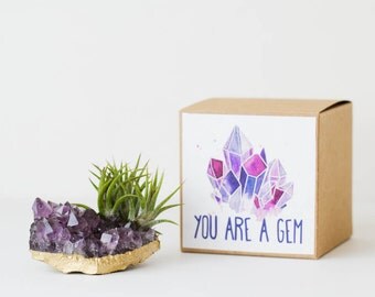 Amethyst Crystal Air Plant Birthday Gift, Best Friend Gift, Graduation Gift, Mom Gift, You Are A Gem, Long Distance Gift, Thank You Gift