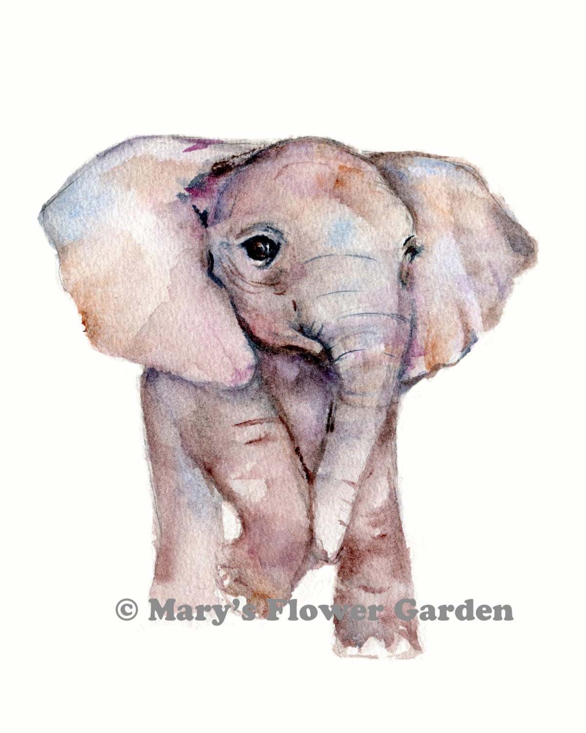 elephant baby art elephant nursery print elephant decor