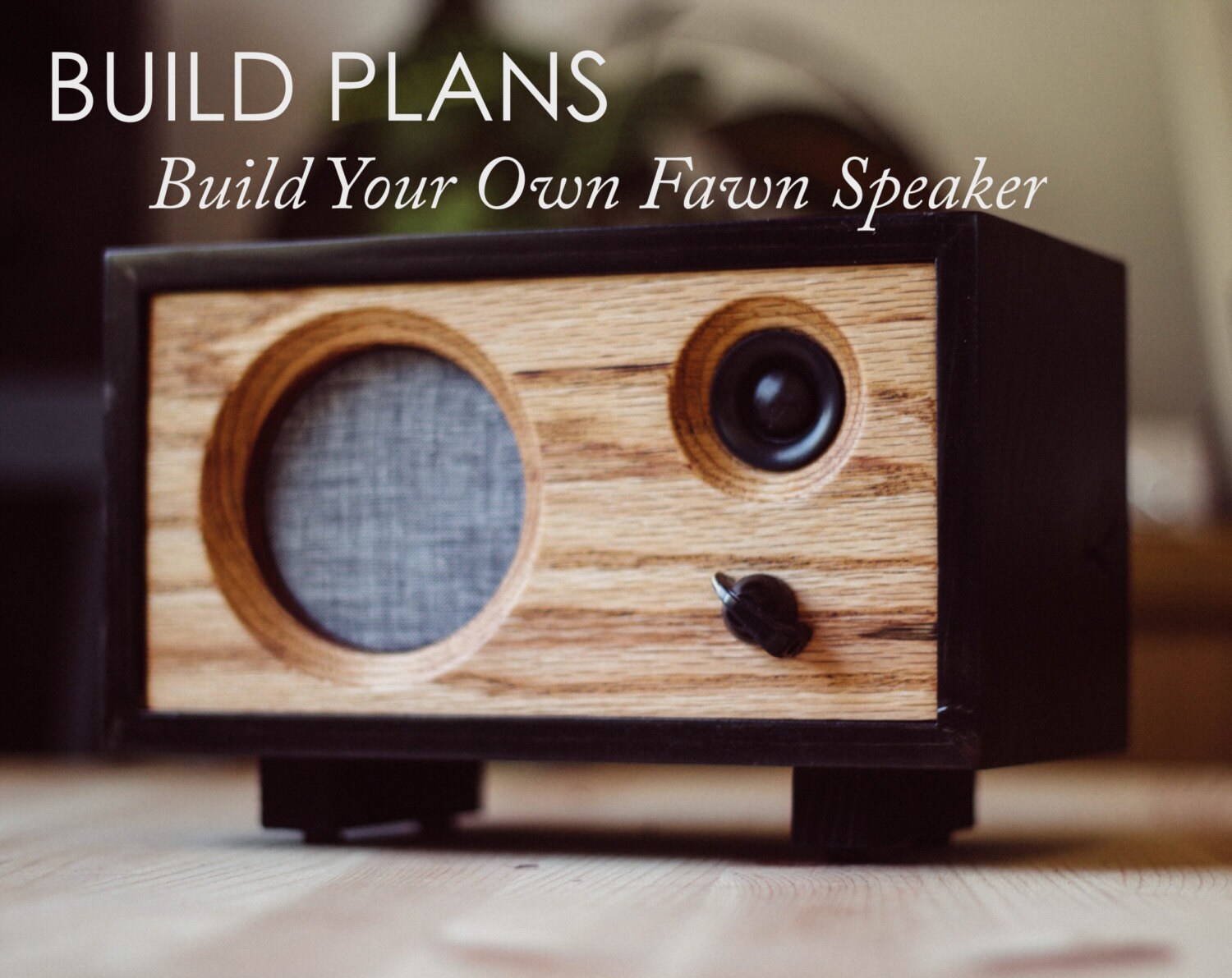 DIY Powered Speaker Build Plans Fawn Speaker Salvage Audio