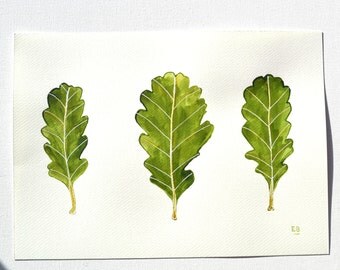 Irish Oak Leaf painting, ink leaf drawing, original leaf art, Oak leaf nature watercolour