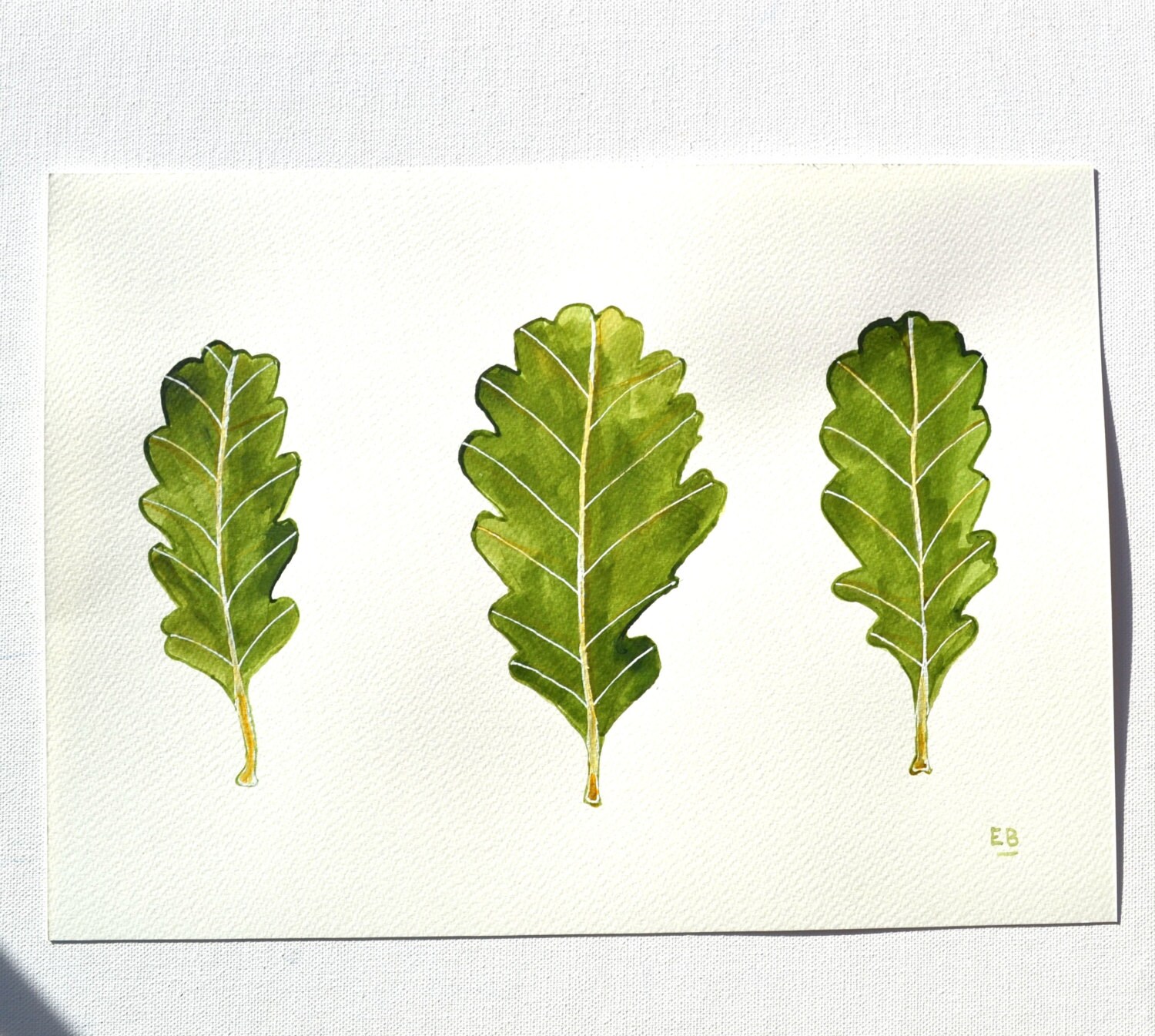 Irish Oak Leaf painting ink leaf drawing original leaf art