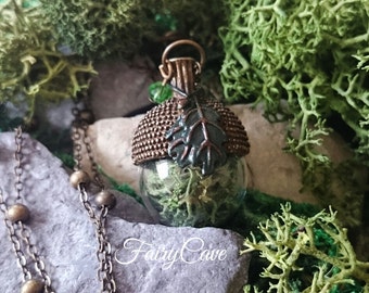 Natural lichens in a glass acornr necklace