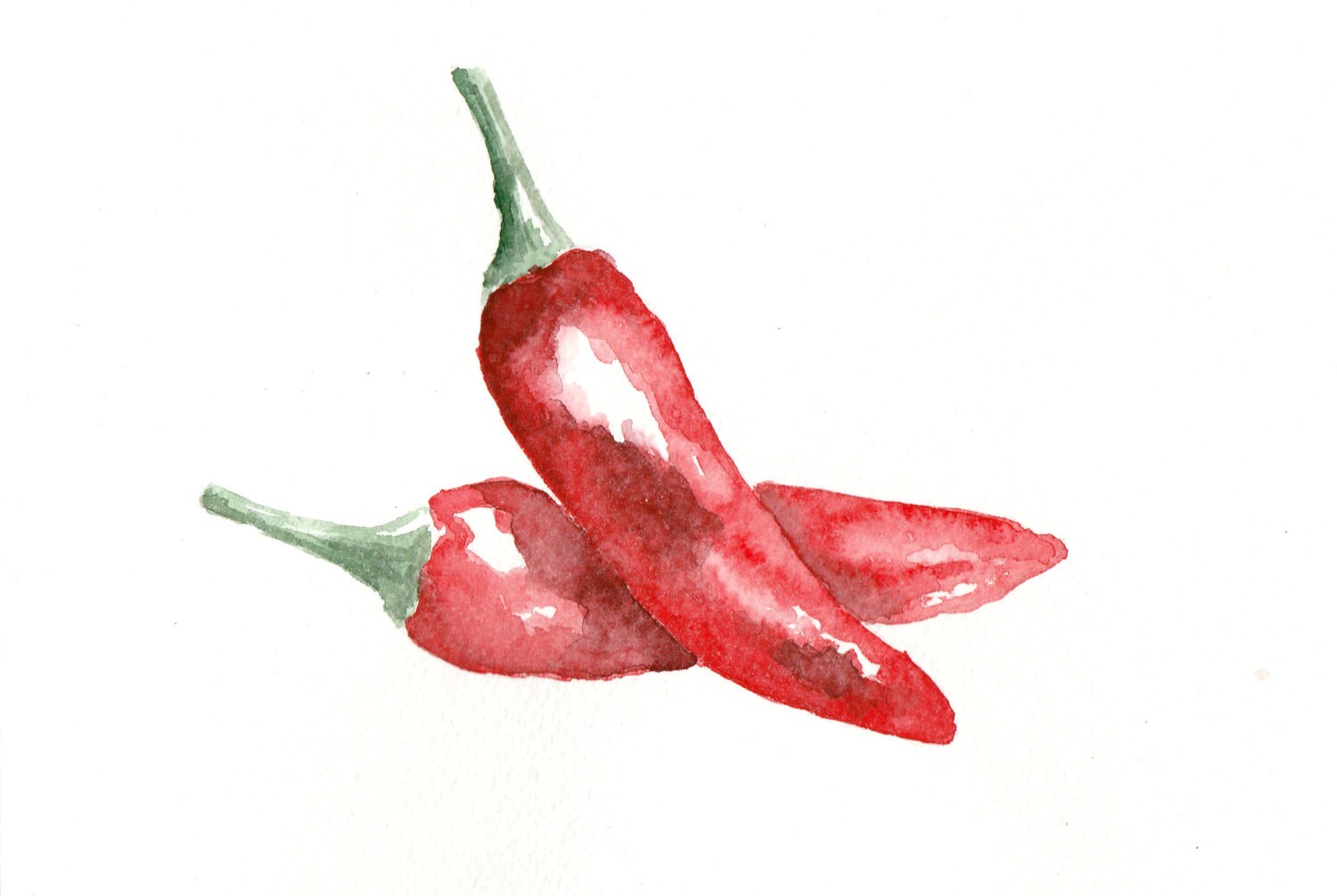 Red chili pepper Original Watercolor Food Kitchen Wall Art