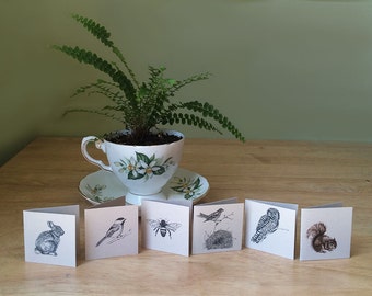 Mini cards with envelopes and seals. Set of 6 gift enclosure cards. Sweet little advice cards for bridal or baby shower.