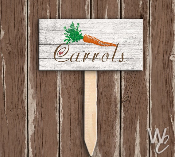 Ywmigl 18 Set Easter Carrots Yard Decorations DIY Carrots Yard Sign Stakes Easter Plastic Outdoor Decorations For Spring Lawn Garden Yard Decor Easter Decor Home Lawn Patio Decorations (B Style