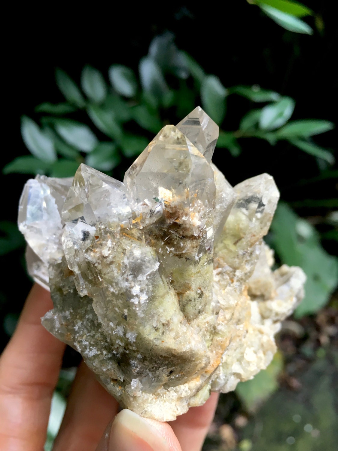 Lodolite Quartz with Phantoms 325 gm Brazil Garden Quartz