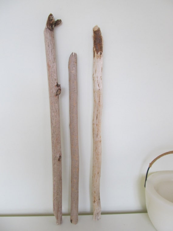 Beaver Driftwood. 3 Drift Wood Dowels. Strong by LonelyBeach