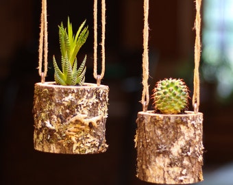 Hanging Planter Indoors Rustic Hanging Succulent Planter Log Planter Cactus Succulent Holder Hanging Plant Pots Gifts for Her Air Plant Gift
