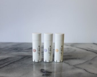 Lip Balm Bundle: natural lip balm, plant powered lip balm, herbal lip balm, organic lip balm
