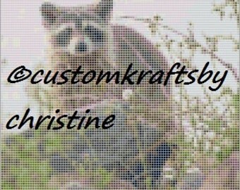 Instant Download! Raccoon