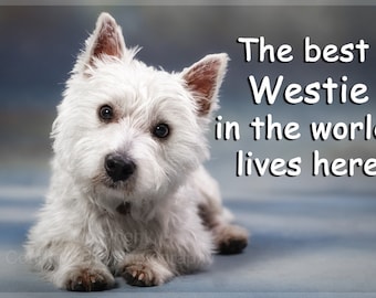 Westie West Highland White Terrier Dog Funny Fridge Magnet Gift