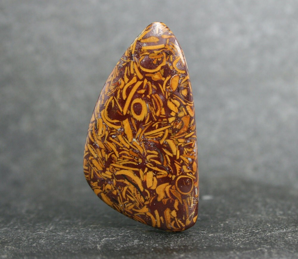 Script Jasper Designer Cabochon/Coquina Jasper/Print Stone/Elephant