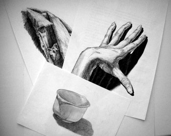 Black and white art Black pen pencil sketch Still life Set of 3 wall art Quick drawing from nature Original sketch Unique graphic art