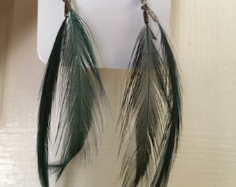 Turquoise feather earrings