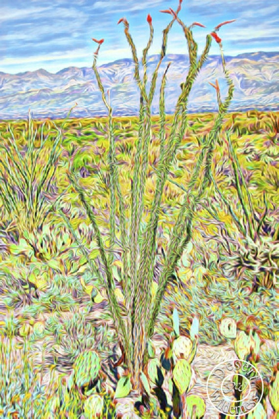 Ocotillo Cactus Abstract Art Arizona Abstract by DesertWilderness