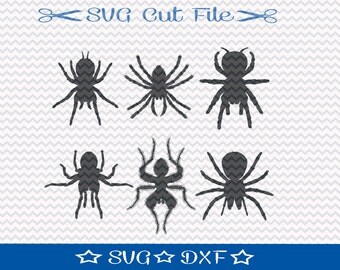 Spider SVG File / SVG Cut File for Silhouette / Animal SVG / Insect svg / Tarantula svg