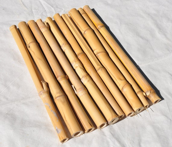 8 Bamboo Sticks 30 Cm 1 Long Real Bamboo Natural   Il 570xN.997892071 Ctpj 