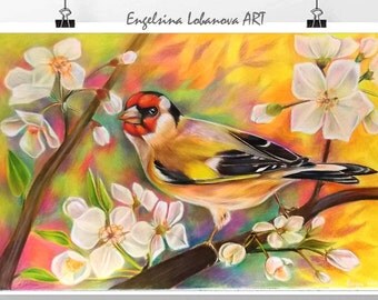 Pencils,Drawing,Realistic colored pencil drawing techniques, bird in bright colors,goldfinch