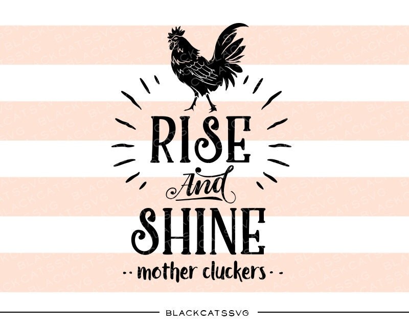 Download Rise and shine mother cluckers SVG file Cutting by ...