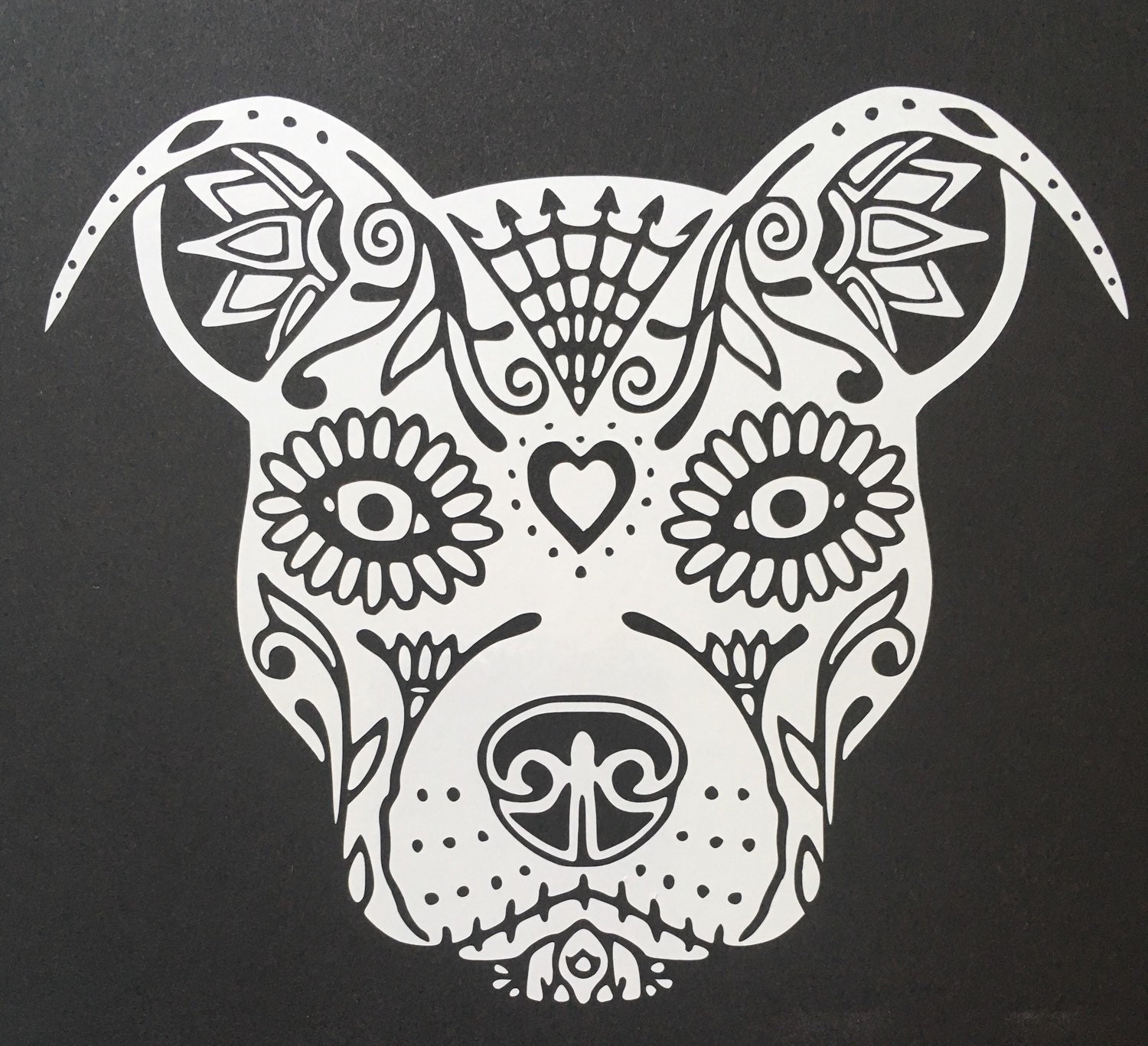 Download Pit Bull Sugar Skull