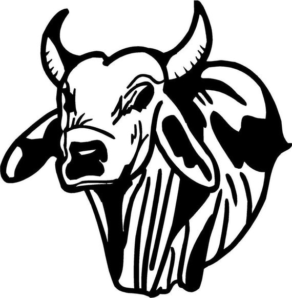 Brahma bull svg file SVG cutting files cutting by TexasGlitterCo