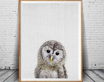 Baby owl print | Etsy