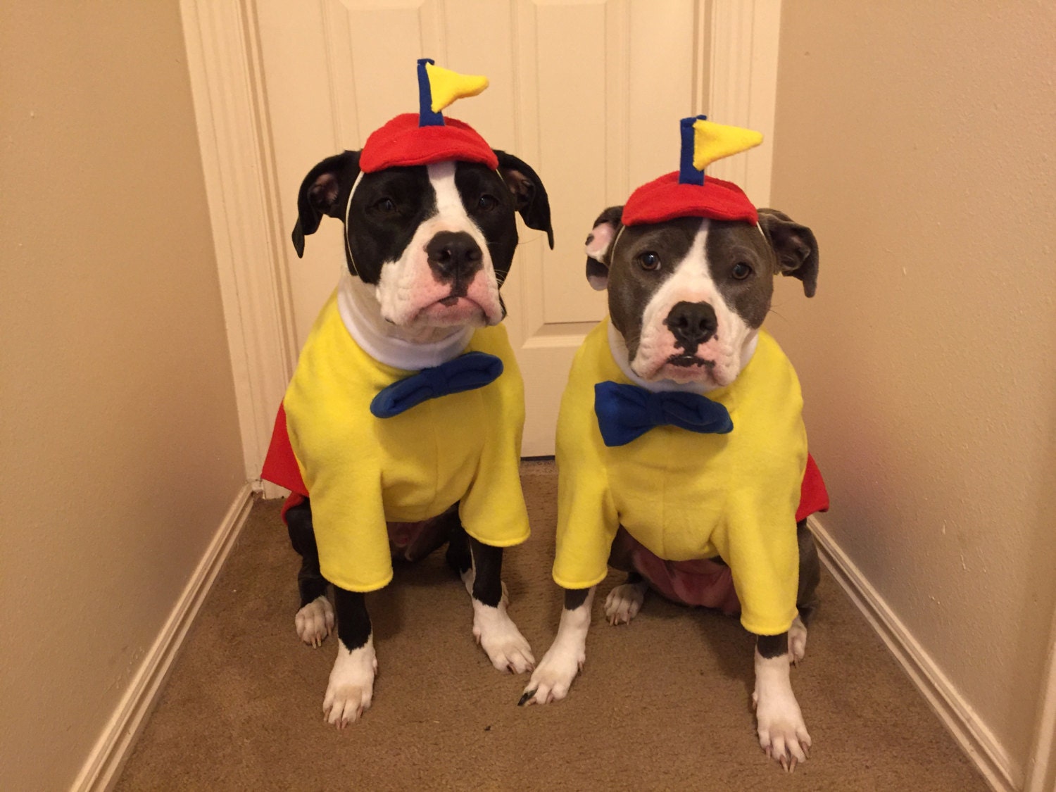 Alice in Wonderlands Tweedle Dee and Tweedle Dum style costume