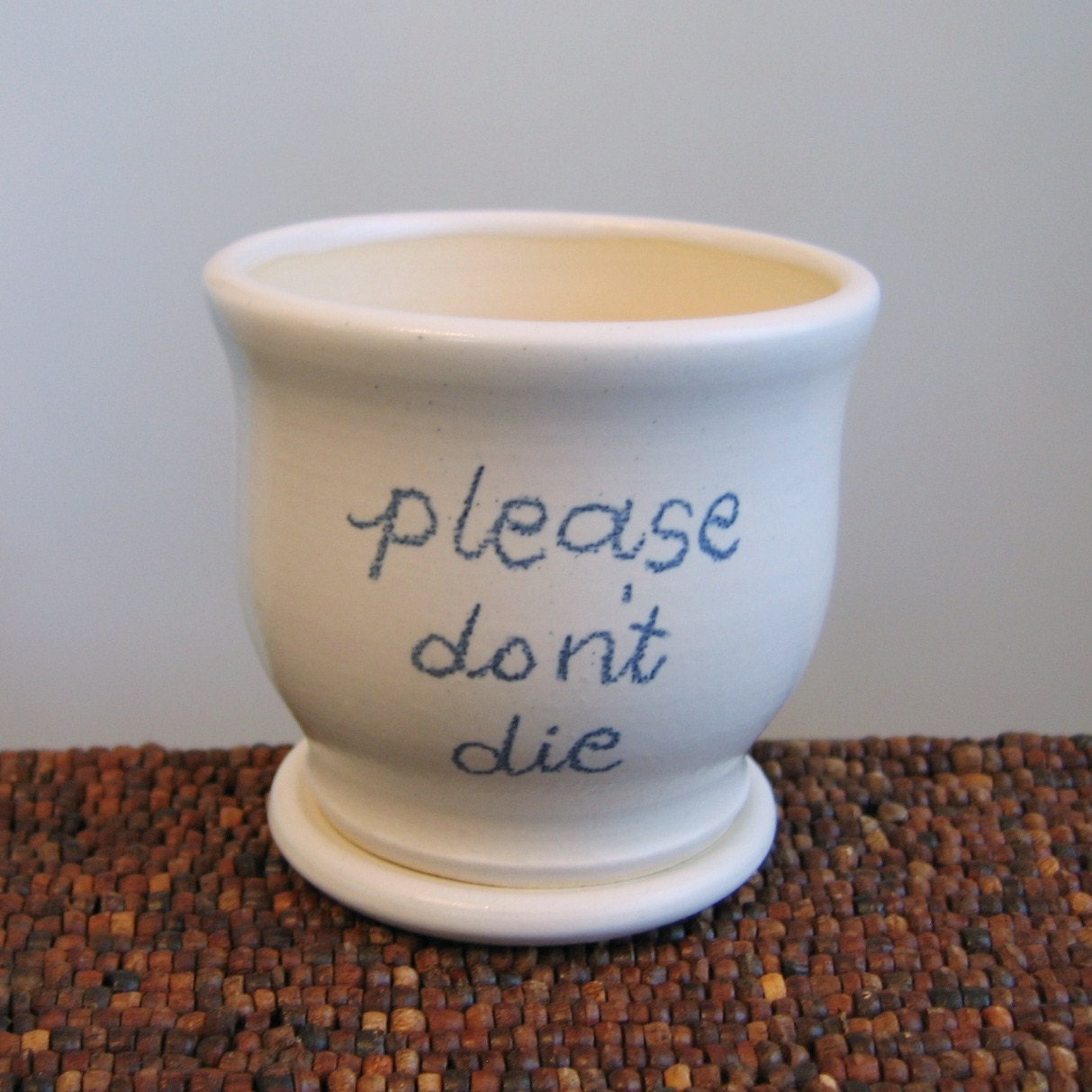 Ceramic Succulent Planter Please Don't Die Gag Gift