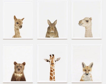 Baby Animal Nursery Art Print: Baby Fox Little Darling.