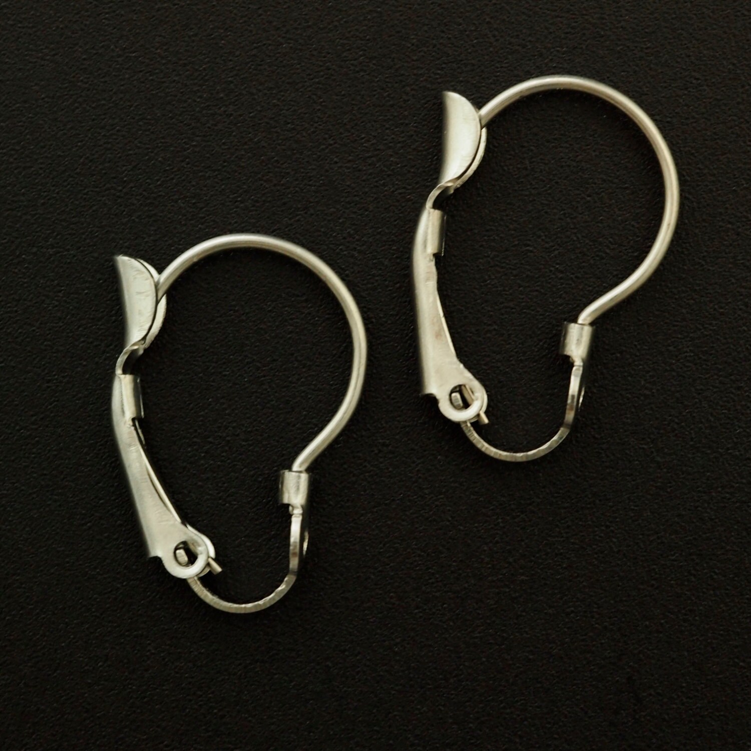 10 Pairs Surgical Stainless Steel Leverback Ear Wires with