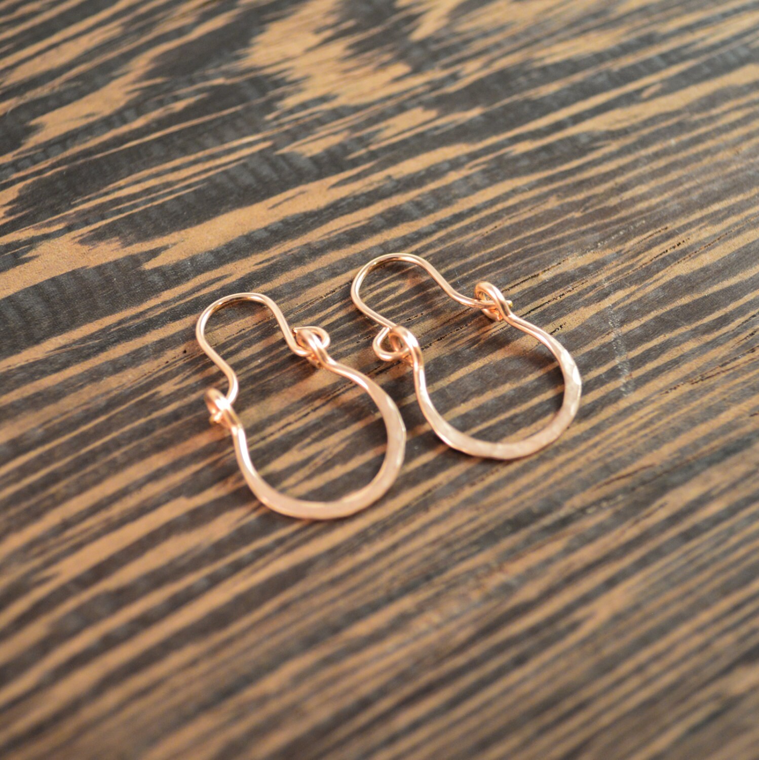 Rose Gold Horseshoe Hoop Earrings with Latch Hook by CatMHorn