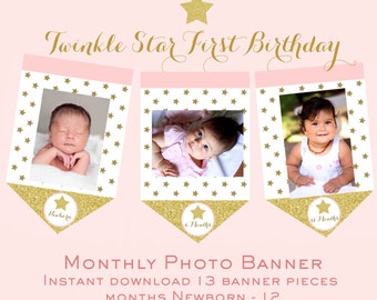 Twinkle Twinkle Little Star First Birthday Banner - Pink and Gold Star Monthly Photo Banner Star Month Circles Gold and Pink Pink and Gold