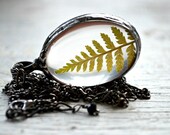 Real Fern Necklace, Spring Necklace, Real Fern Encased in Glass, Terrarium Necklace, Spring Jewelry, Fern Jewelry (2486) Real Fern Necklace, Spring Necklace, Real Fern Encased in Glass, Terrarium Necklace, Spring Jewelry, Fern Jewelry (2486)