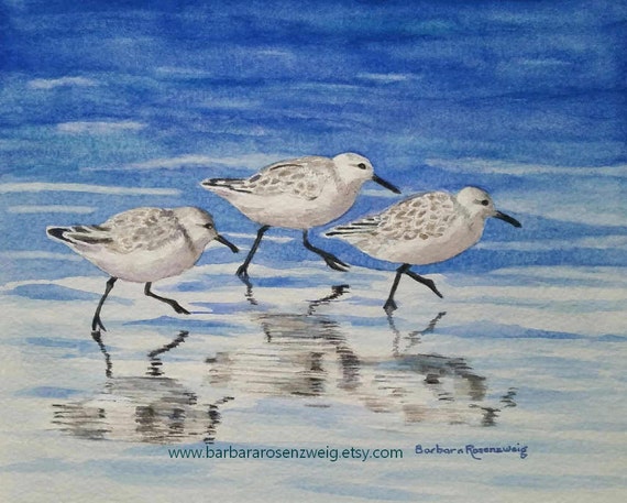 Coastal Art Shore Bird Painting Bird Print Sandpiper Wall