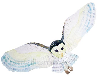 Barn Owl No.3, Archival Print from Original Watercolor, you choose size