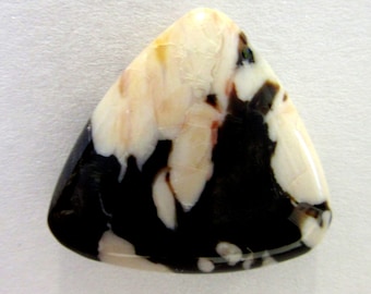 Petrified Peanut Wood Cabochon