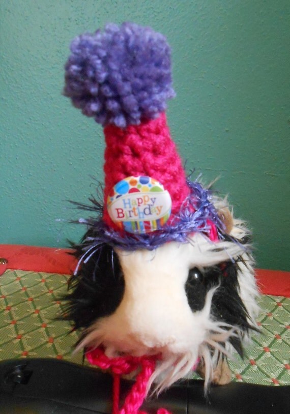 Guinea Pig Pink Birthday Hat Guinea Pig Clothes Bearded