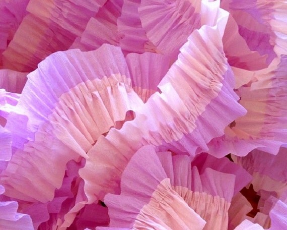 Baby Pink and Lavender Ruffled Crepe Paper Streamers - 36 Feet - Party Decorations Supplies Il_570xn