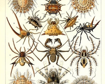 Einzigartige Artikel zum Thema bathroom decor | Etsy