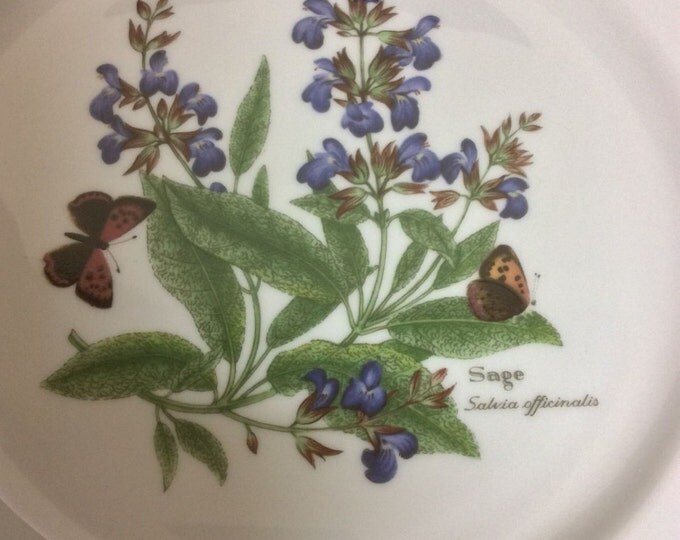 Royal Worcester Herbs Salad Plate, Sage, Fine Porcelain, Green Trim, Replacement Dish, Botanical Florals, Discontinued China, Malvern