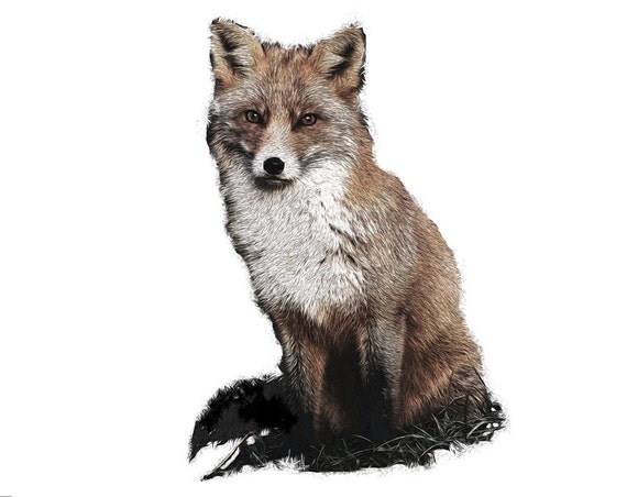 Items similar to Red Fox Instant Download. Printable Digital Art for your DIY projects and